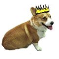 E-Learning Queen